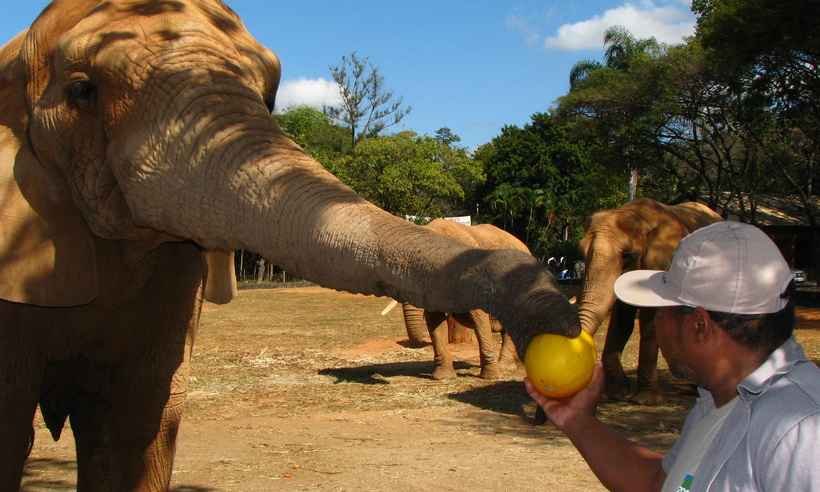 Visitantes do zoológico de BH vão poder pagar entrada no débito - Suziane Fonseca/PBH