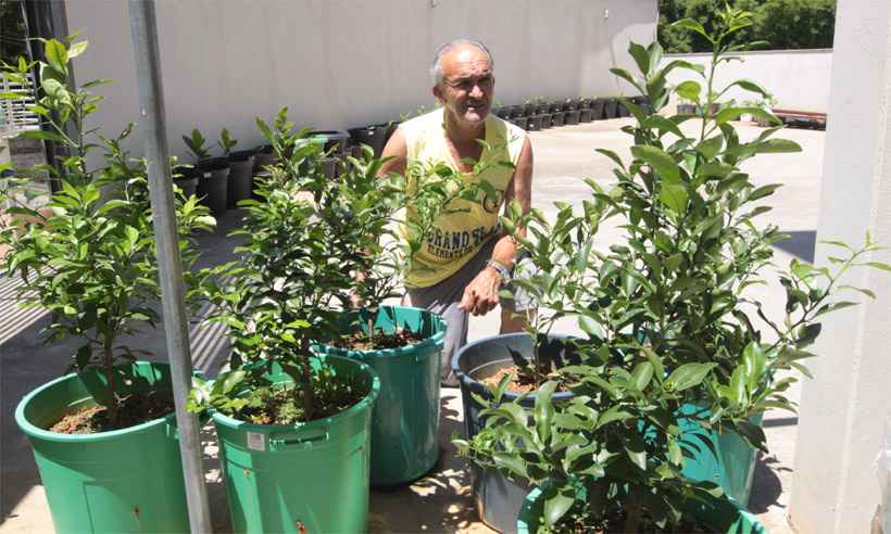 Morador de Bento Rodrigues prepara mudas para plantar em novo terreno - Jair Amaral/EM/DA Press
