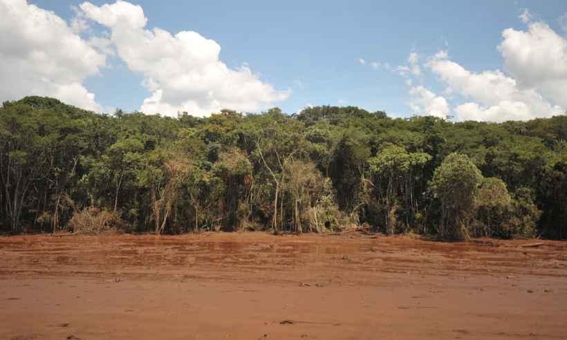 Tumulto marca reunião do MP com Vale para reparar danos em Brumadinho  - Alexandre Guzanche/EM/D.A Press