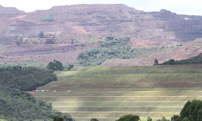 Animais começam a ser retirados de propriedades evacuadas em Itatiaiuçu - Edésio Ferreira/EM/D.A Press - 08/02/2019