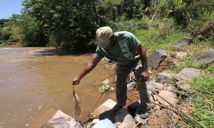 Especialistas divergem sobre chegada de rejeitos de Brumadinho ao Velho Chico - Edésio Ferreira/E.M/D.A Press