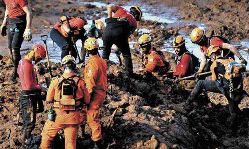 Bombeiros atacados por abelhas em Brumadinho têm alta de hospital - Estado de Minas