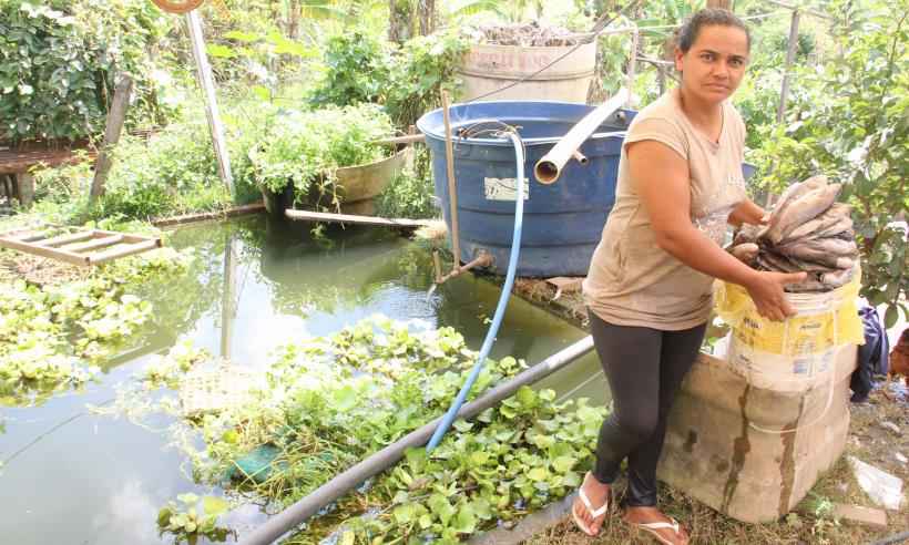 Desconfiança quanto a contaminação da água e solo afeta produtores rurais de Brumadinho - Sidney Lopes/EM/D.A Press