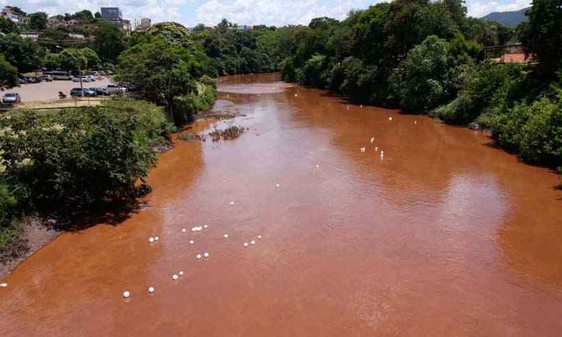 Relatório aponta presença elevada de metais pesados em pontos do Rio Paraopeba - Edésio Ferreira/EM/DA Press