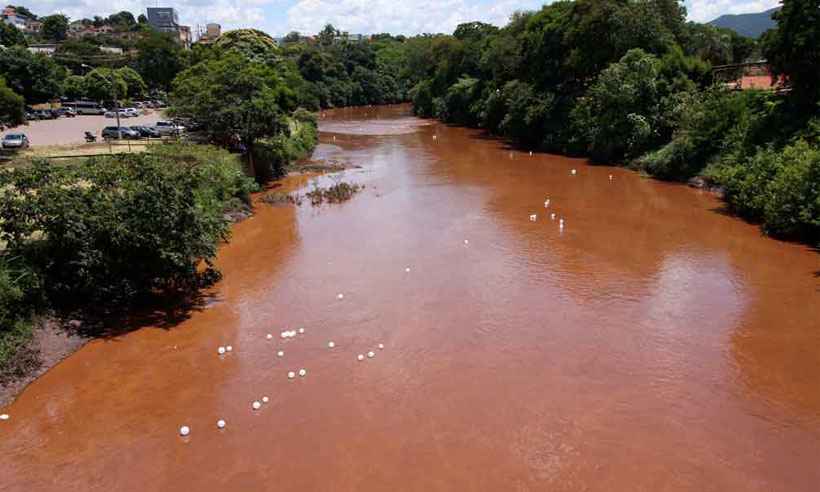 Lama de barragem matou o Rio Paraopeba, conclui estudo da SOS Mata Atlântica - Edésio ferreira/EM/DA Press