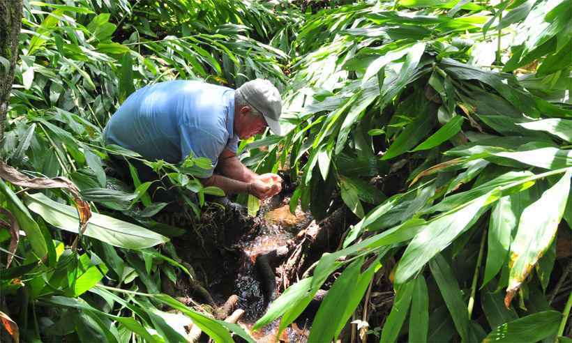 Para garantir preservação, principal nascente do Rio Paraopeba será fechada - Gladyston Rodrigues/EM/DA Press