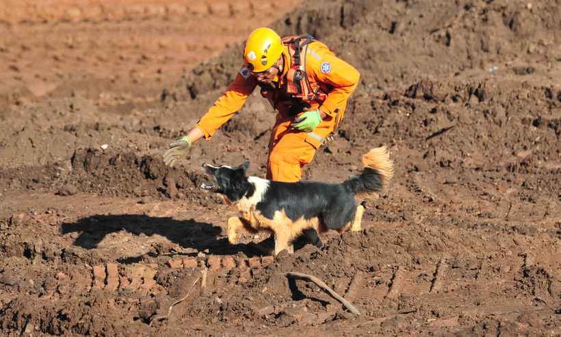 Bombeiros apostam em tecnologia, cães e máquinas pesadas para vasculhar a lama em Brumadinho - Gladyston Rodrigues/EM/D.A Press
