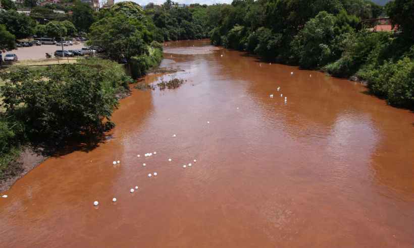 Ibama e IEF negam que Rio São Francisco foi afetado por lama de barragem de Brumadinho  - Edesio Ferreira/EM/D.A Press