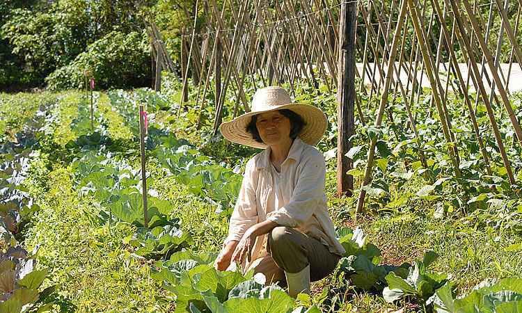 Agricultura brasileira e tecnologia - ABr/Antonio Cruz