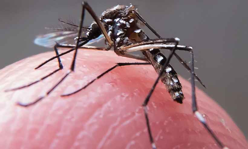 Município na Região Central do Estado enfrenta epidemia de dengue - Rafael Neddermeyer / Fotos Publicas