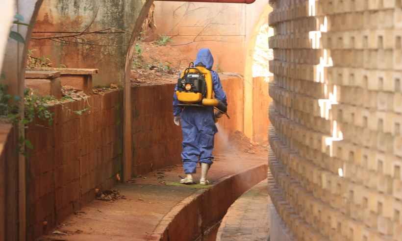 Água parada e mosquitos motivam ação contra dengue no Mineirinho antes de final do vôlei - Edésio Ferreira/EM/D.A PRESS