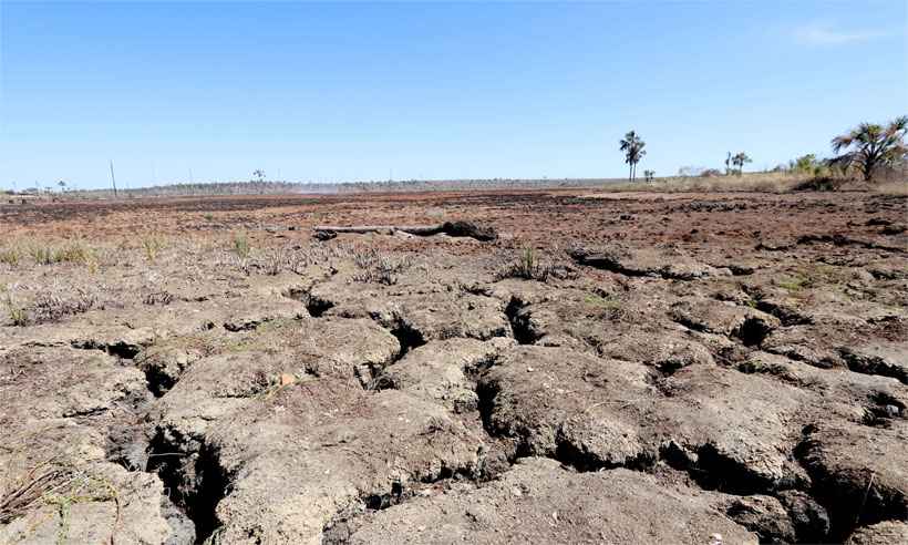 Fenômenos climáticos preocupam agricultores - Solon Queiroz/Esp. EM/D.A Press  19/11/17