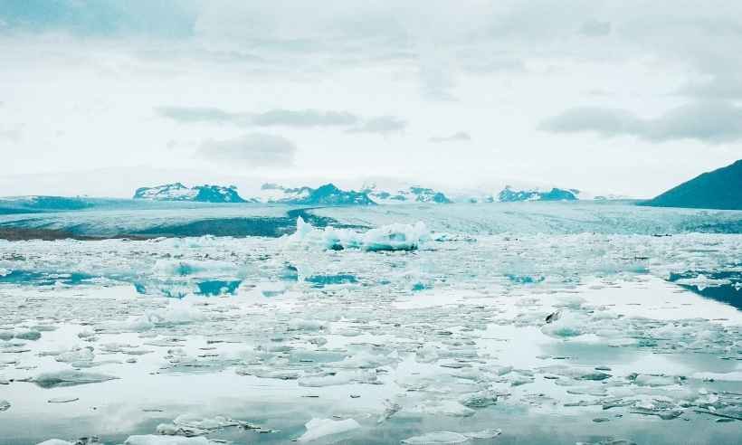Encontro internacional vai discutir destruição da natureza pelo ser humano - Pexels