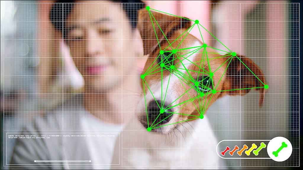 Rede de pet shops desenvolve ferramenta de inteligência artificial - Divulgação