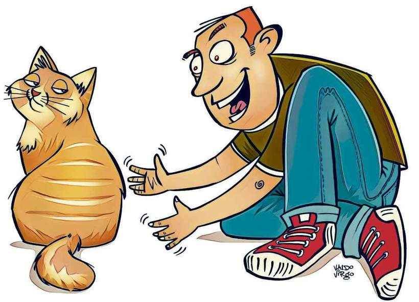 Gatos reconhecem próprio nome e decidem quando atender aos chamados - Valdo Virgo/CB/D.A Press
