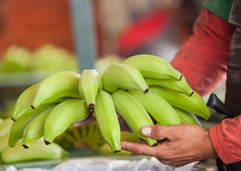 Município produtor de banana em Minas vai lançar marca coletiva para produção - Abanorte/Divulgacao 