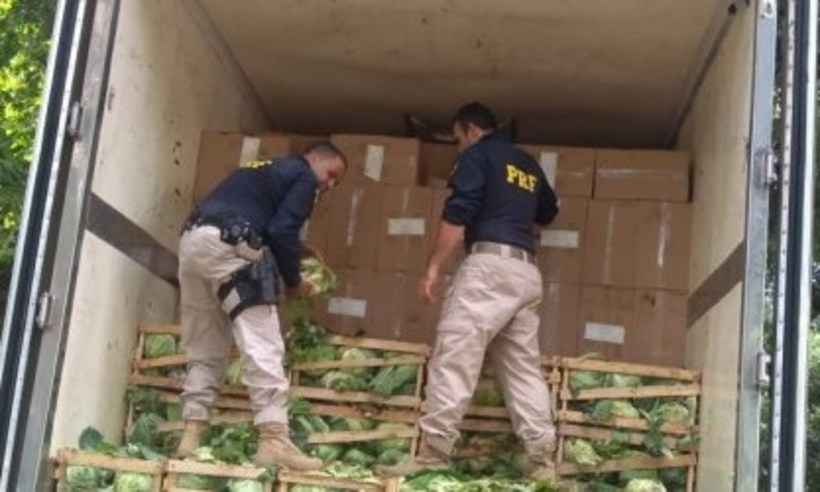 Mais uma vez: bandidos tentam contrabandear cigarros em caixas de repolho - Divulgação/PRF