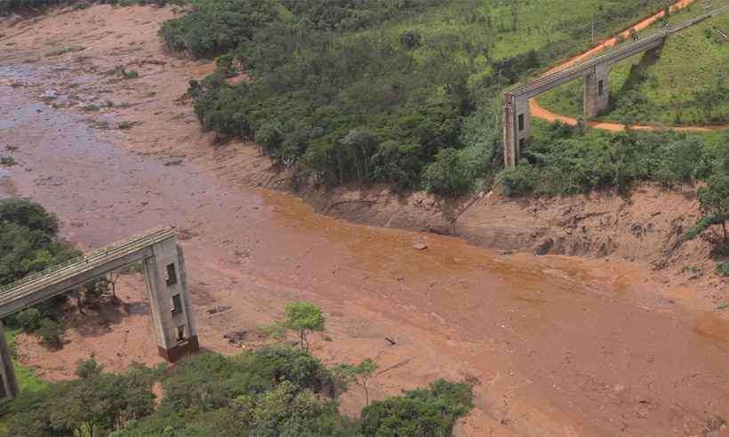 Vale adota medidas para controlar pragas e prevenir doenças em Brumadinho - Corpo de Bombeiros/Divulgação