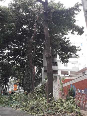 Moradores reclamam de corte de árvores na Serra - Jair Amaral/EM/D.A. Press