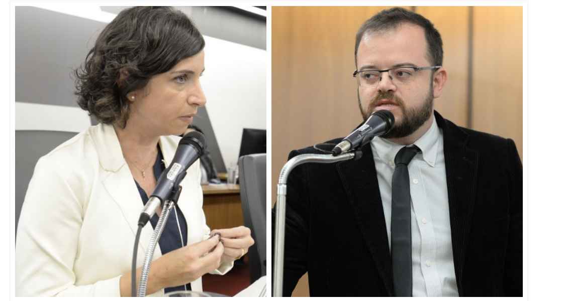 Deputado do partido de Zema bate boca com secretária de Educação - Guilherme Bergamin / Ricardo Barbosa / ALMG