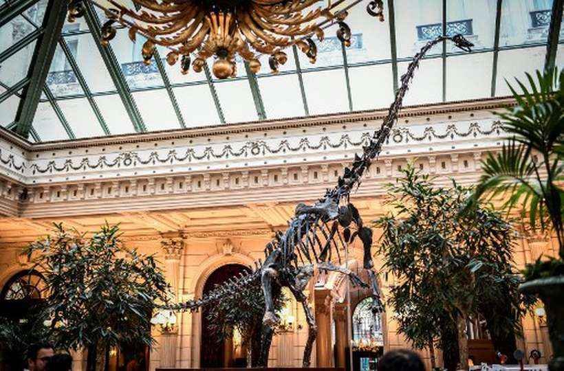 Fóssil de dinossauro fica sem comprador em leilão em Paris - STEPHANE DE SAKUTIN / AFP
