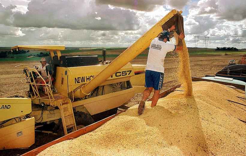 Guerra fiscal entre EUA e China abre caminho para Brasil ser maior produtor de soja do mundo - NANI GOIS/AFP