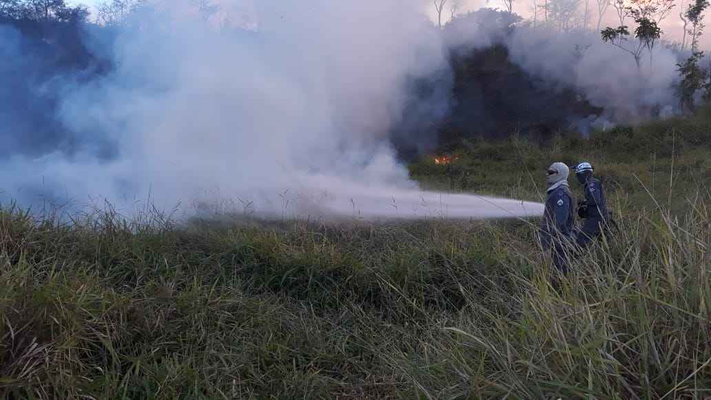 Duas frentes de bombeiros enfrentam incêndio em mata em Sabará - Divulgação/CBMMG