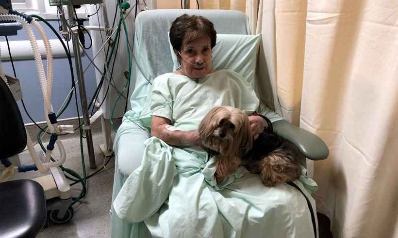 Cão que ajudou a salvar idosa que sofreu queda acompanha a paciente na UTI  - Unimed-BH/Divulgação