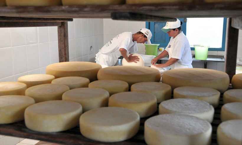 Senado aprova PL que regulamenta produção de queijo artesanal  - Twitter/Reprodução  