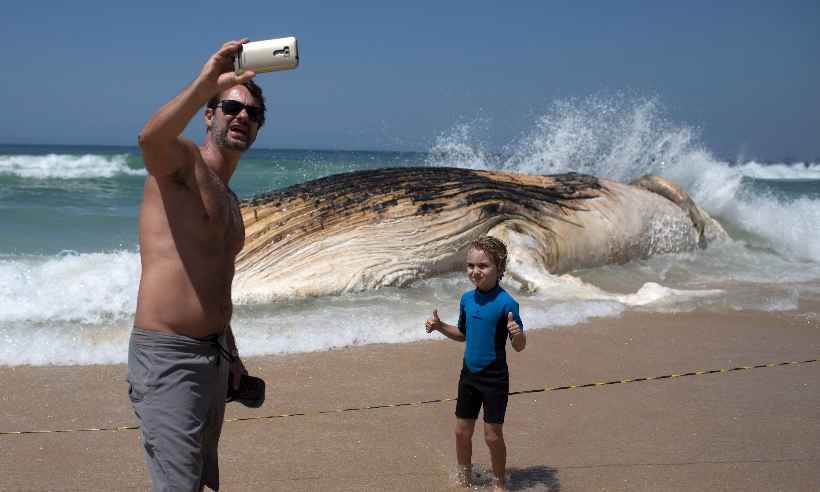 Selfies matam cinco vezes mais que ataques de tubarão - Leo Correa / AFP