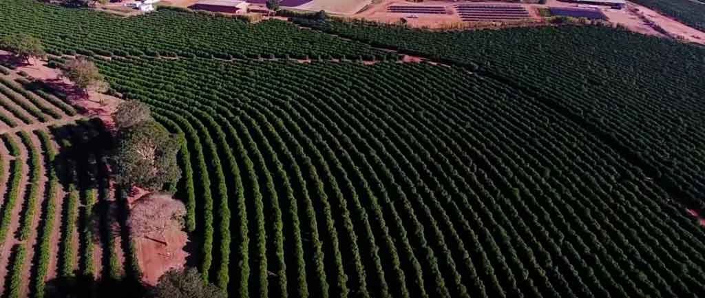 Acordo Mercosul/União Europeia anima agronegócio e deixa indústria apreensiva - Guarda Chuva Produções/Divulgação - 5/4/18
