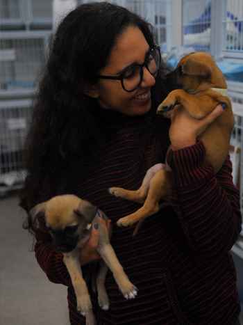 Conheça a história da veterinária que ajuda a salvar animais em Brumadinho