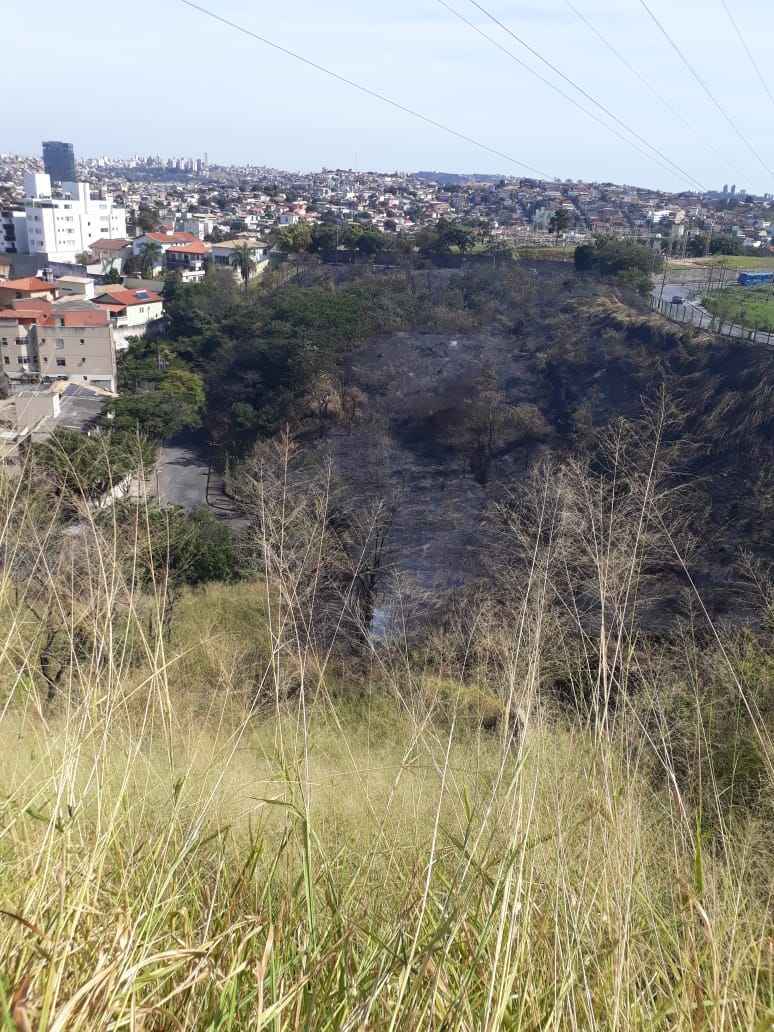 Incêndio destrói parte da mata do Parque Ecológico Renato Azeredo, em BH - Corpo de Bombeiros/Divulgação