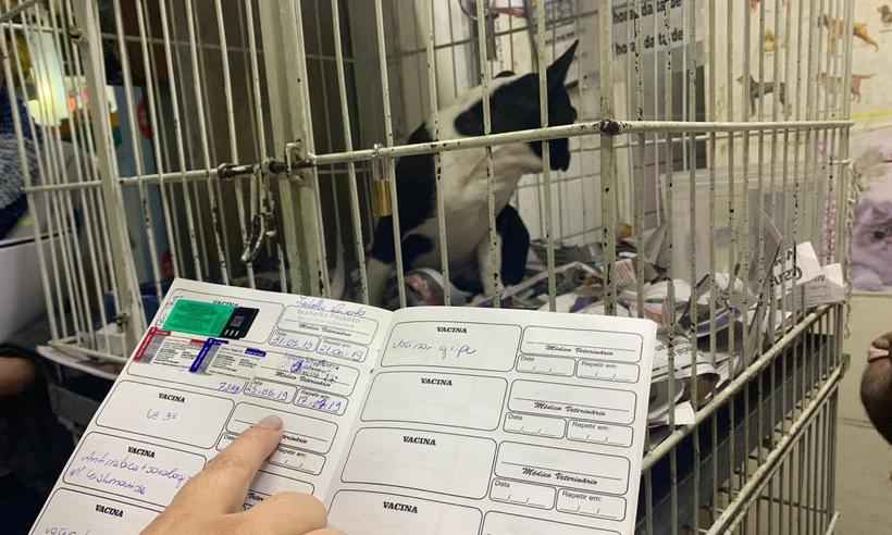 Conselho de Veterinária autua lojas que comercializam animais no Mercado Central  - CRMV-MG/ divulgação 