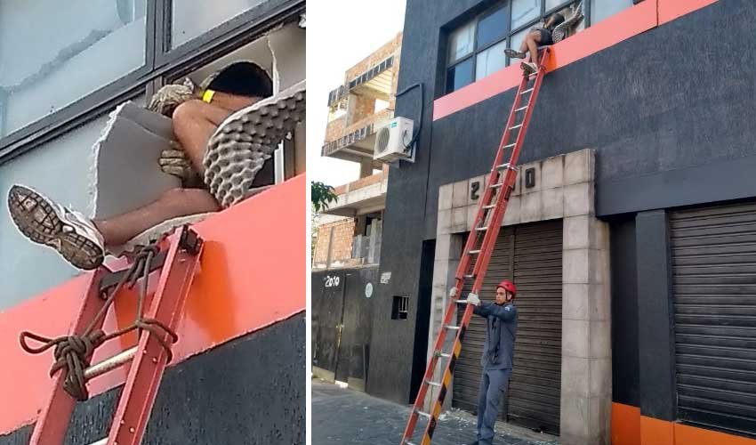 Bombeiros resgatam jovem embriagado 'esquecido' em banheiro de boate - Bombeiros/ Reprodução