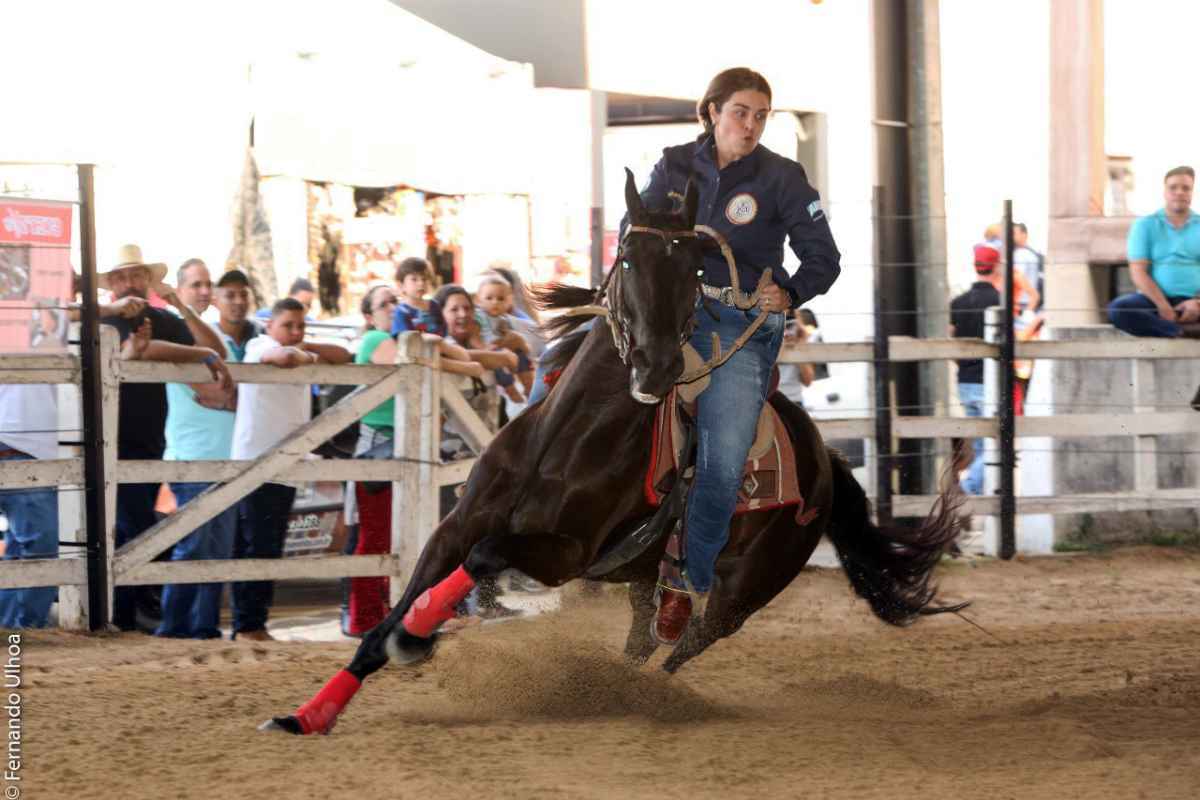 Competições levam emoção à 38ª Exposição Nacional do Cavalo Mangalarga