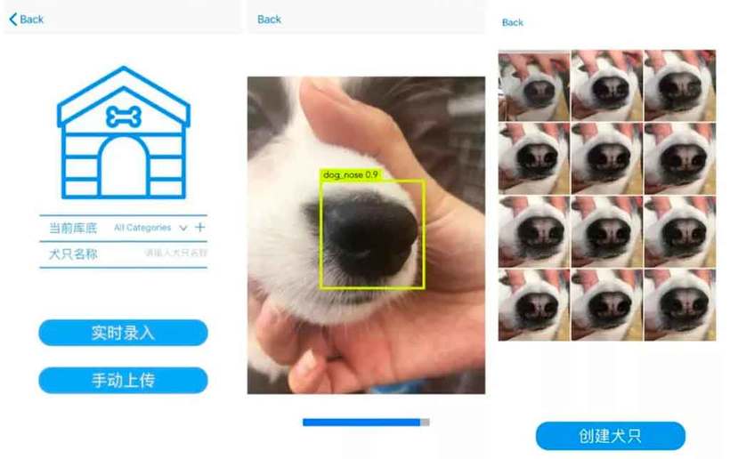  App chinês cria identificação de animal pelo focinho - Reprodução/site/Megvii