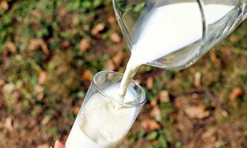 Justiça condena cooperativa mineira a indenizar consumidor por leite estragado - Pixabay