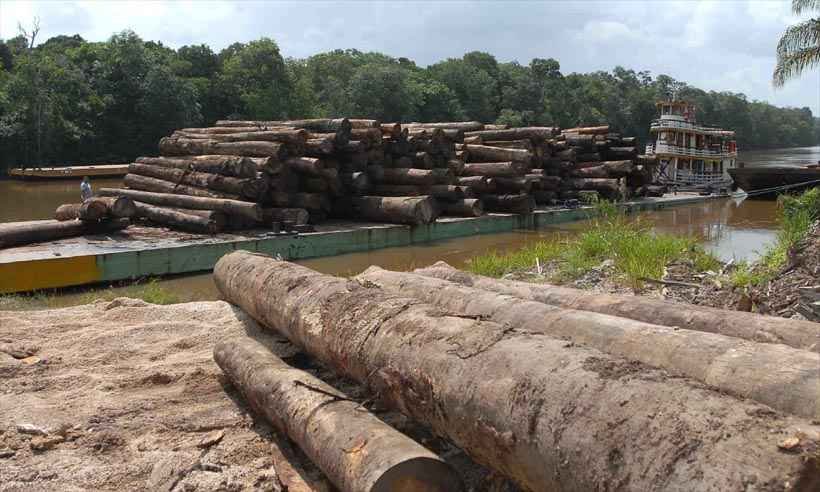 Desmatamento na Amazônia em julho chega a um terço dos últimos 12 meses - Wikipedia  