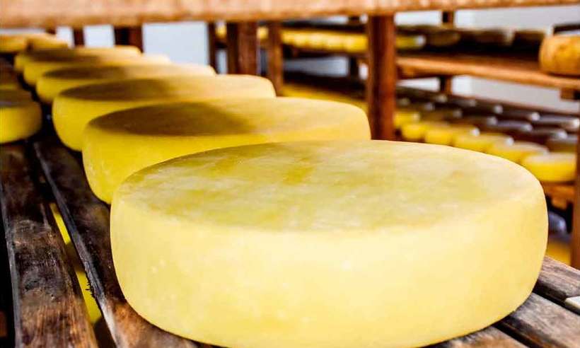 Mais regiões de MG querem reconhecimento como produtoras de queijo artesanal - Franciely Eduarda/Divulgação - 18/5/15