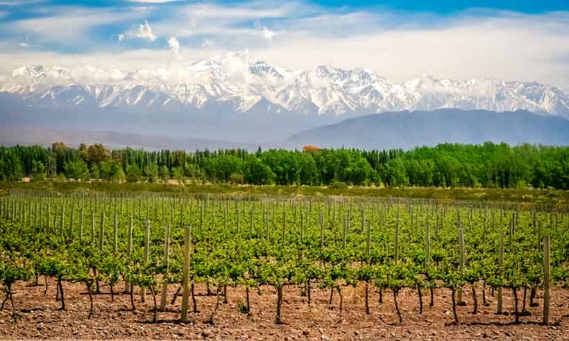 Paraíso vizinho: Descubra a cidade argentina de Mendoza em 7 dias - Brasileiros em UshUaia/divulgação