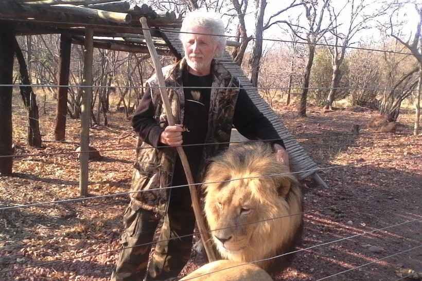 Sul-africano é morto por leões criados por ele em reserva particular  - Reprodução/Mahala View Lion Game Lodge