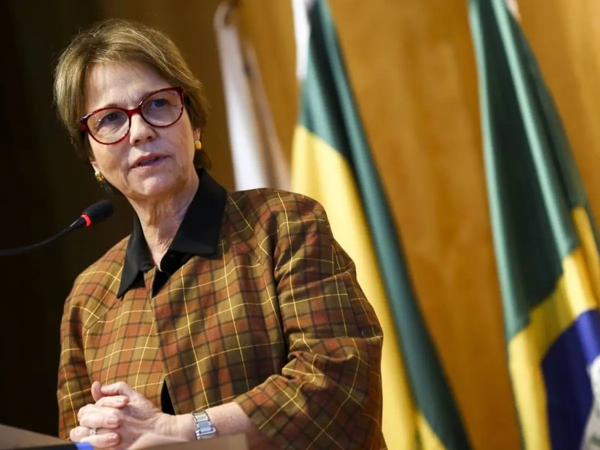Pela dimensão da Amazônia, fiscalização não será a melhor do mundo, diz ministra - Marcelo Camargo/Agência Brasil
