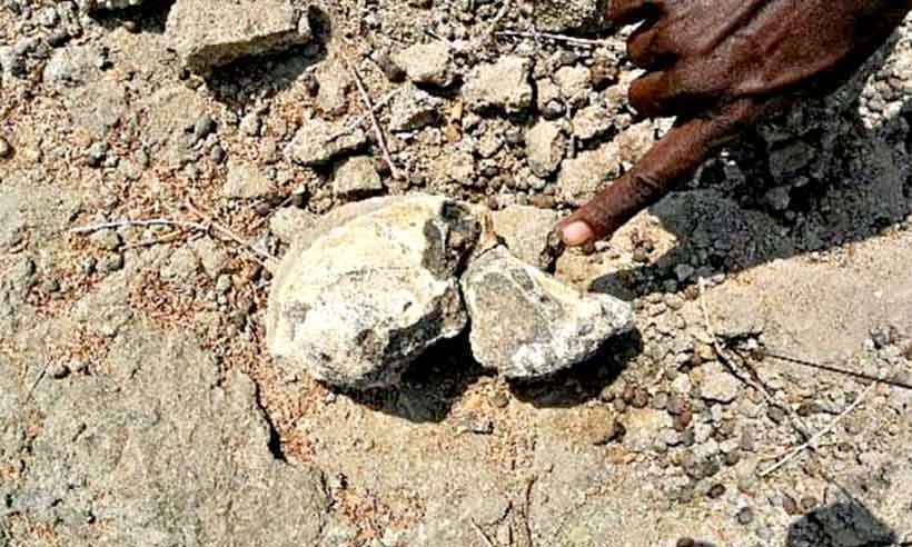 Crânio encontrado na Etiópia sugere o rosto do avô da humanidade - AFP/Divulgação
