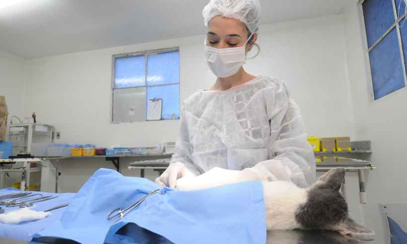 PBH  inaugura mais um centro para castrações de cães e gatos      - Leandro Couri/EM/D.A Press