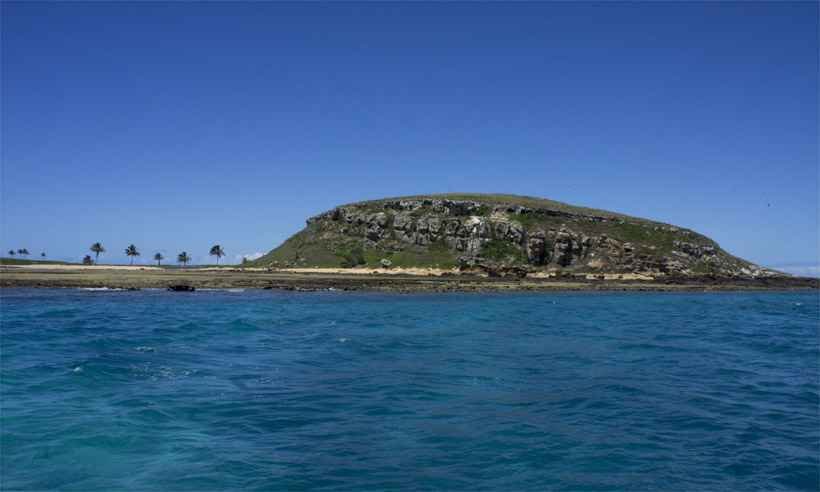 Estudo mostra que lama de desastre de Mariana chegou a Abrolhos - Wikimedia Commons