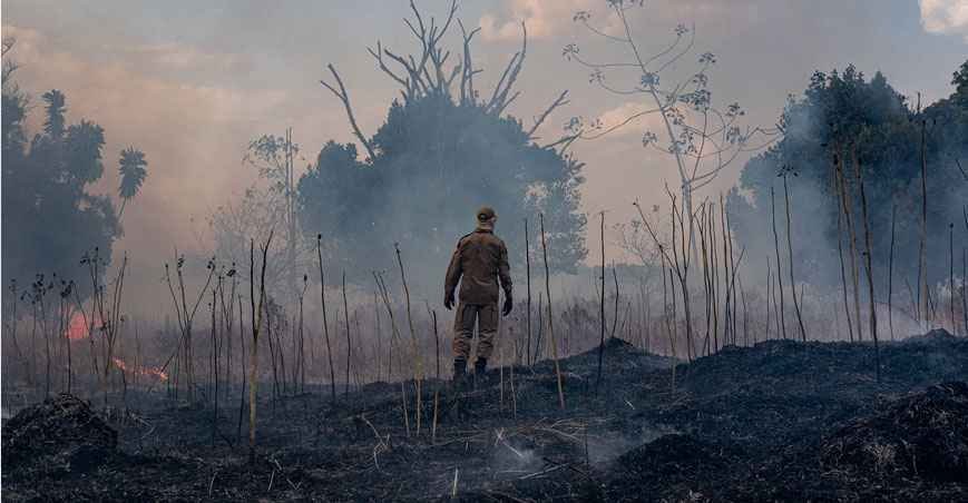 Situação da  Amazônia  entra na pauta  dos bispos em Roma - MAYKE TOSCANO/Gov. MT/AFP