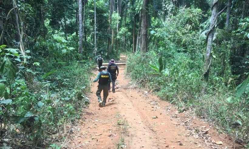 PF descobre 15 mil hectares de terra indígena desmatados e sob ação de grileiros - Reprodução/Polícia Federal