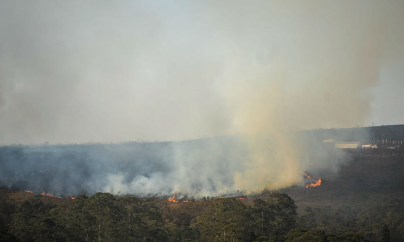 Incêndio se alastra e destrói unidade de conservação na Grande BH; veja imagens - Leandro Couri/EM/D.A.Press