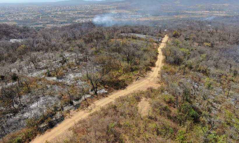 Há quase três dias, bombeiros combatem incêndio em área de preservação em Minas - Eduardo Gomes/Divulgação 